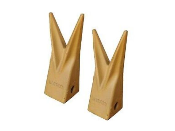 Dientes de tigre de cubo