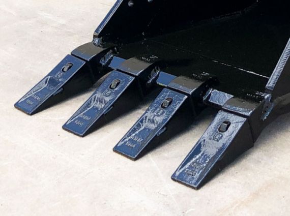 Variedades de dientes de tigre